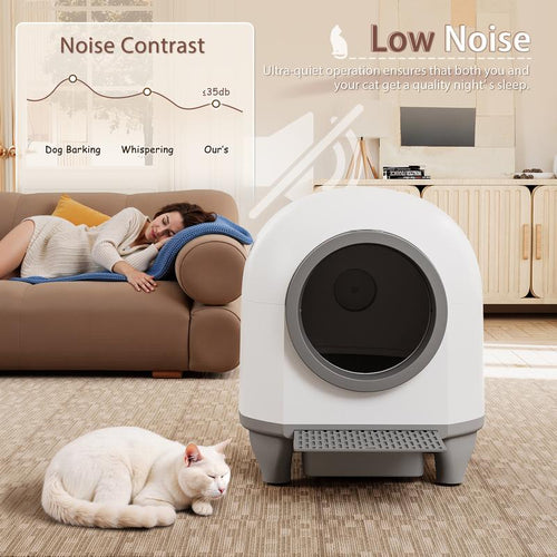 Self-Cleaning Litter Box